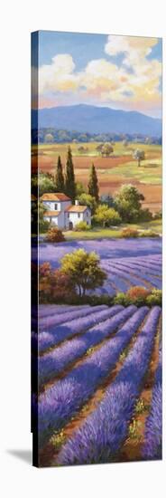 Fields of Lavender II-Sung Kim-Stretched Canvas