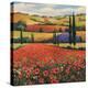 Fields of Poppies II-TC Chiu-Stretched Canvas