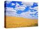 Fields of Wheat-Darrell Gulin-Premier Image Canvas