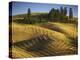 Fields, Palouse, Whitman County, Washington, USA-Charles Gurche-Premier Image Canvas