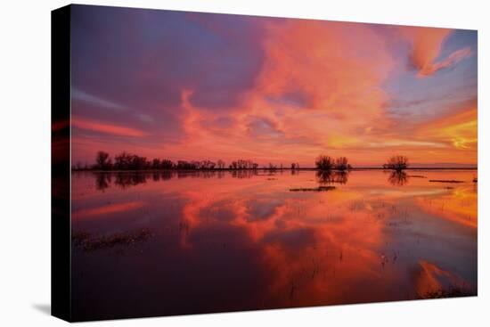Fiery Marsh Sunset and Reflection-null-Premier Image Canvas