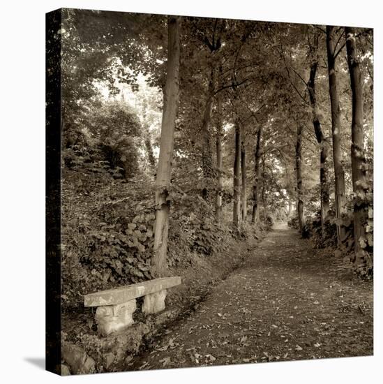 Fiesole Giardini II-Alan Blaustein-Premier Image Canvas