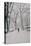 Fifth Avenue Snow, 2013-Max Ferguson-Premier Image Canvas