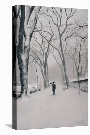 Fifth Avenue Snow, 2013-Max Ferguson-Premier Image Canvas