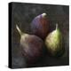 Fig Trio-Bill Philip-Stretched Canvas