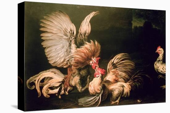 Fighting Cocks-Frans Snyders Or Snijders-Premier Image Canvas