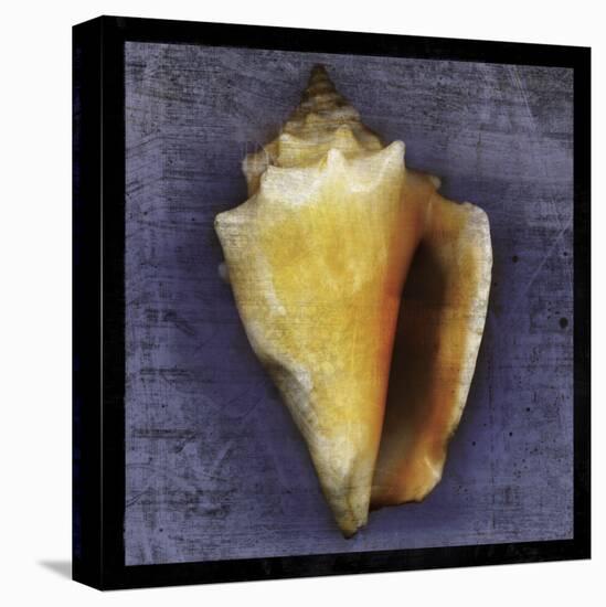 Fighting Conch-John Golden-Stretched Canvas