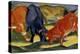 Fighting Cows-Franz Marc-Premier Image Canvas