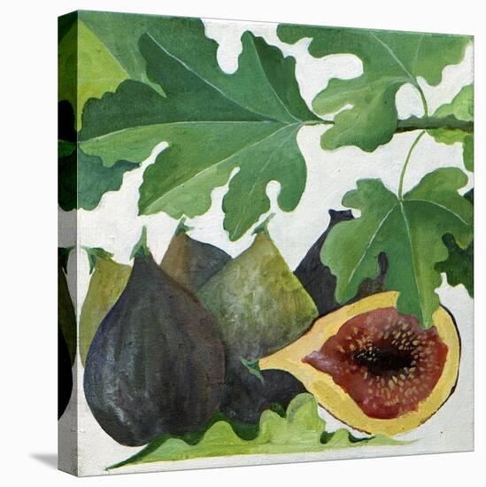 Figs, 2013-Jennifer Abbott-Premier Image Canvas