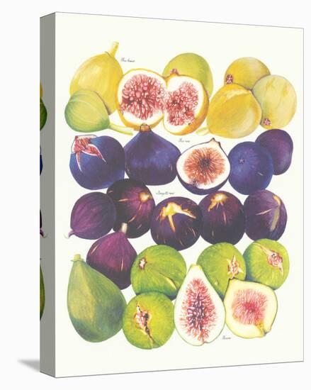 Figs and Dates-null-Stretched Canvas