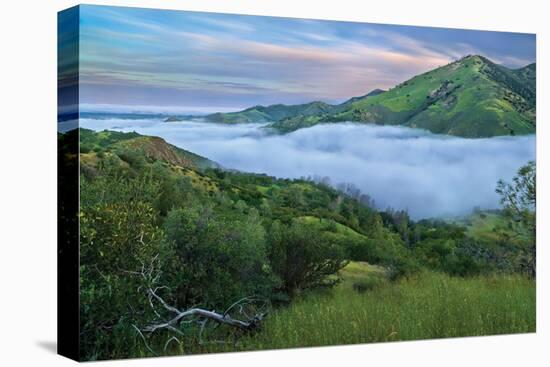 Figueroa-Mark Geistweite-Premier Image Canvas