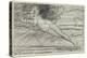 Figure féminine nue, allongée dans un paysage-Jean Jacques Henner-Premier Image Canvas
