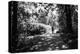 Figures in the Distance in Landscape under Trees-Sharon Wish-Premier Image Canvas