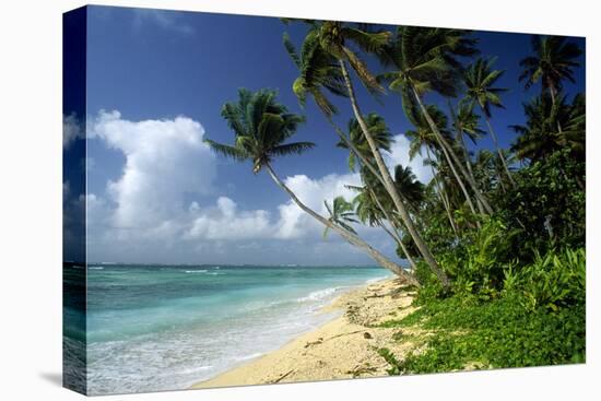 Fiji One of the Best Shelling Beaches in the World-null-Premier Image Canvas