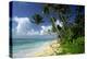 Fiji One of the Best Shelling Beaches in the World-null-Premier Image Canvas