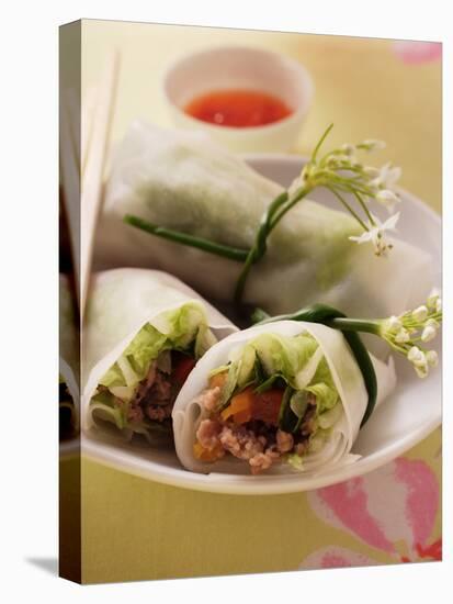 Filled Rice Paper Rolls from Vietnam-null-Premier Image Canvas