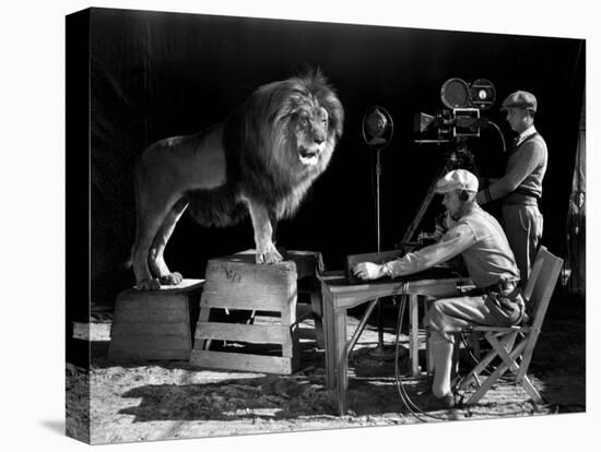 Film History: M. G. M.. Shooting of the Logo for the Metro Goldwyn Mayer-null-Premier Image Canvas