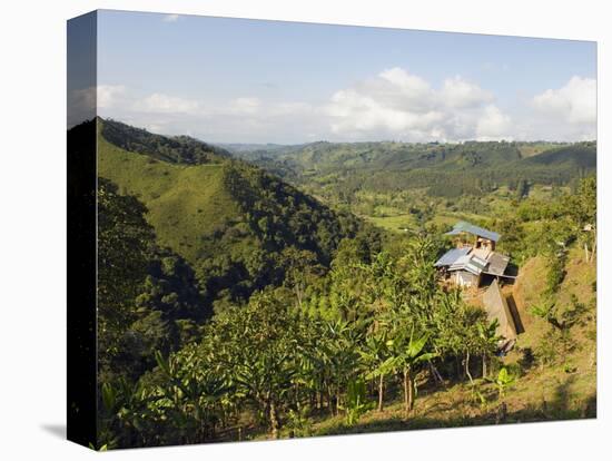 Finca Don Eduardo, Coffee Farm, Salento, Colombia, South America-Christian Kober-Premier Image Canvas