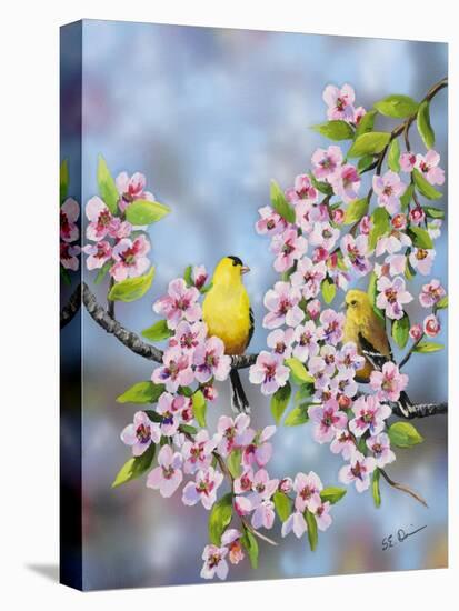 Finches in Cherry Tree-Sarah Davis-Premier Image Canvas