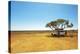 Finding Shade under a Lone Tree While Traveling in the Australian Outback in a Campervan.-Pics by Nick-Premier Image Canvas