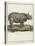 Fine Early Engraving of an African Rhinoceros-Benard-Stretched Canvas