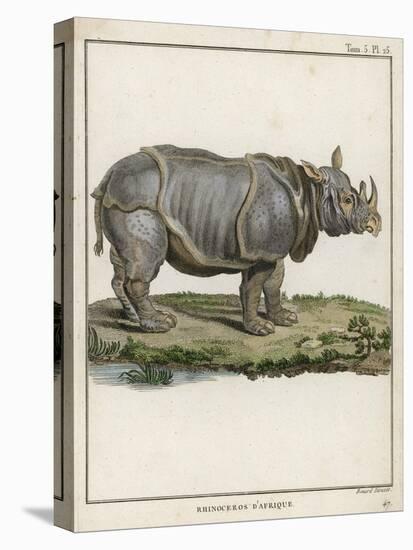 Fine Early Engraving of an African Rhinoceros-Benard-Stretched Canvas