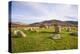 Fingals Cauldron, Machrie Moor stone circles, Isle of Arran, North Ayrshire, Scotland, United Kingd-Gary Cook-Premier Image Canvas