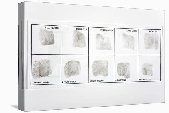 Fingerprint Record Card-Victor De Schwanberg-Premier Image Canvas