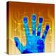 Fingerprint Scanner, Artwork-PASIEKA-Premier Image Canvas