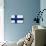 Finland Flag Design with Wood Patterning - Flags of the World Series-Philippe Hugonnard-Stretched Canvas displayed on a wall