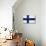 Finland Flag Design with Wood Patterning - Flags of the World Series-Philippe Hugonnard-Stretched Canvas displayed on a wall