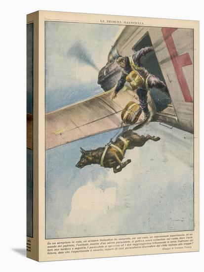 Finnish Parachutist Jumps with His Dog-Vittorio Pisani-Premier Image Canvas