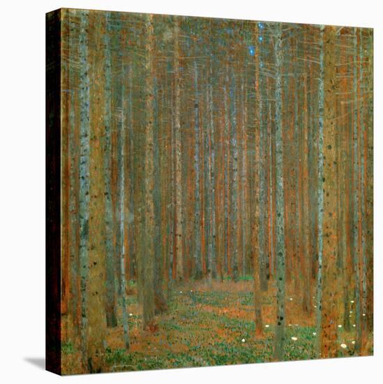 Fir Forest I - Klimt, Gustav (1862-1918) - 1901 - Oil on Canvas - 90X90 - Kunsthaus Zug, Collection-Gustav Klimt-Premier Image Canvas