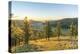 Fir trees in the morning light above Tsenkher Hot Springs, North Hangay province, Mongolia, Central-Francesco Vaninetti-Premier Image Canvas