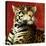 Fire Cat-Will Bullas-Premier Image Canvas