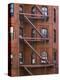 Fire Escapes, Boston, Massachusetts, USA-Amanda Hall-Premier Image Canvas