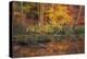 Fire Lake-Viviane Fedieu Daniel-Premier Image Canvas