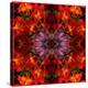 Fire Orchids-Rose Anne Colavito-Stretched Canvas