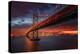 Fire over San Francisco-Toby Harriman-Premier Image Canvas