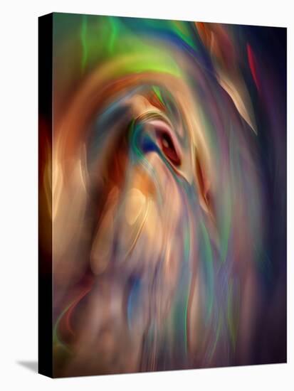 Firebird-Ursula Abresch-Premier Image Canvas