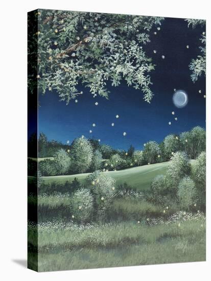 Fireflies Meadow-Debbi Wetzel-Premier Image Canvas