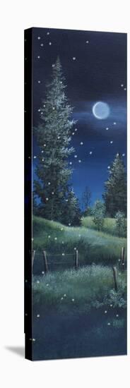 Fireflies-Debbi Wetzel-Premier Image Canvas