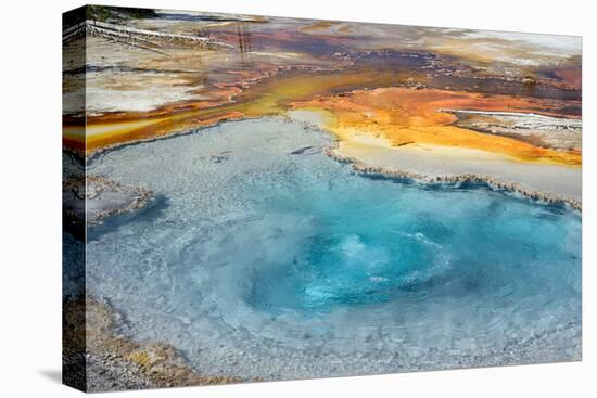 Firehole Spring, Firehole Lake Drive, Lower Geyser Basin, Yellowstone National Park, Wyoming, USA-Steven Milne-Premier Image Canvas