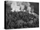 Firejumpers in Lolo National Forest-W.E. Steuerwald-Premier Image Canvas