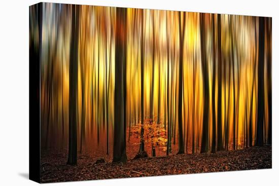 Firewall-Philippe Sainte-Laudy-Premier Image Canvas