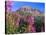 Fireweed and Mt. Gothic near Crested Butte, Colorado, USA-Julie Eggers-Premier Image Canvas