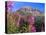 Fireweed and Mt. Gothic near Crested Butte, Colorado, USA-Julie Eggers-Premier Image Canvas