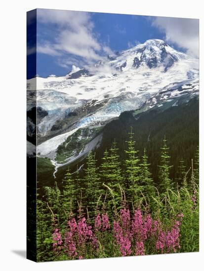 Fireweed Flowers below Mt. Baker-Steve Terrill-Premier Image Canvas