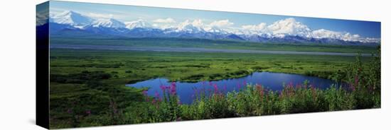 Fireweed Flowers in Bloom by Lake, Denali National Park, Alaska, USA-null-Premier Image Canvas