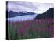 Fireweed in Aialik Glacier, Kenai Fjords National Park, Alaska, USA-Paul Souders-Premier Image Canvas